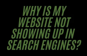 Why is my website not showing up in search engines?